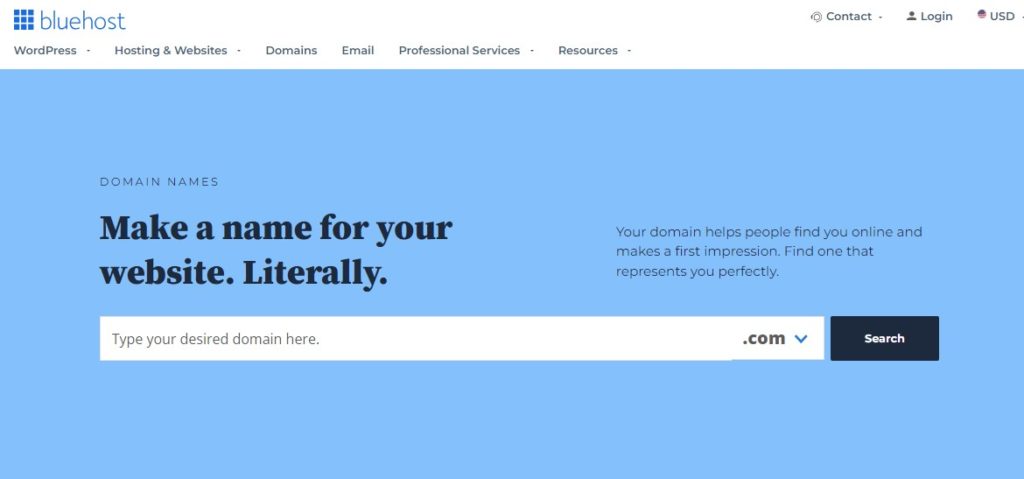 Bluehost Domain