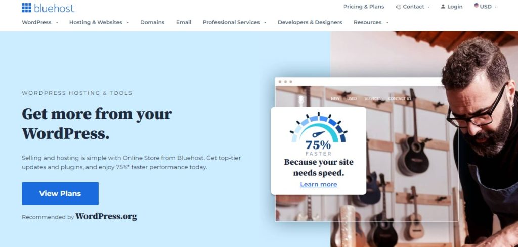 BlueHost
