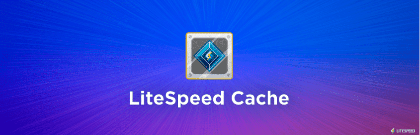 LiteSpeed Cache Plugin